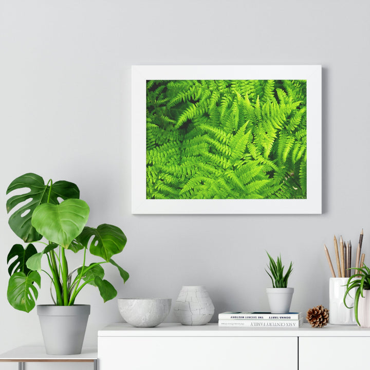 Ferns, Ferns, Ferns - Framed Print - Visiting This World