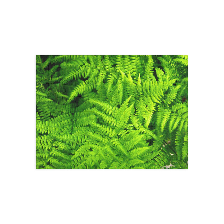 Ferns, Ferns, Ferns - Nature Puzzle (96, 252, 500, 1000-Piece) - Visiting This World