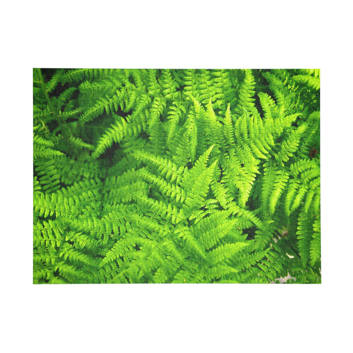 Ferns, Ferns, Ferns - Nature Puzzle (96, 252, 500, 1000-Piece) - Visiting This World