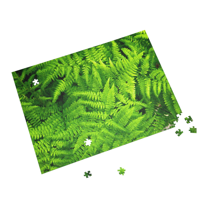 Ferns, Ferns, Ferns - Nature Puzzle (96, 252, 500, 1000-Piece) - Visiting This World