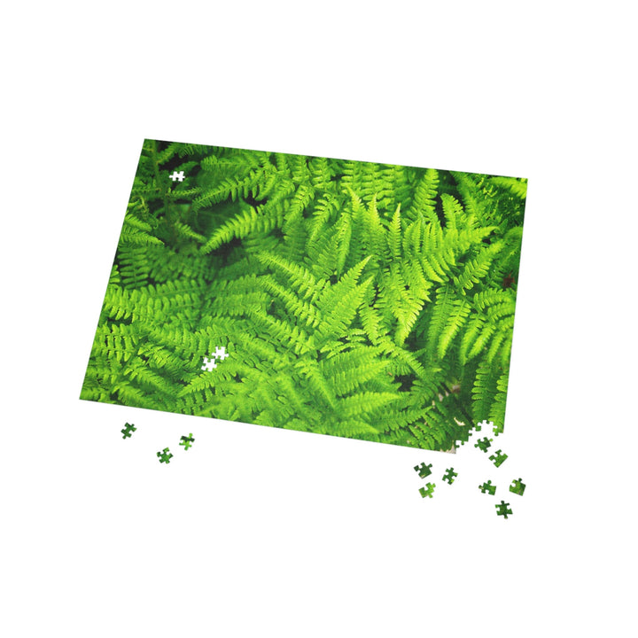 Ferns, Ferns, Ferns - Nature Puzzle (96, 252, 500, 1000-Piece) - Visiting This World