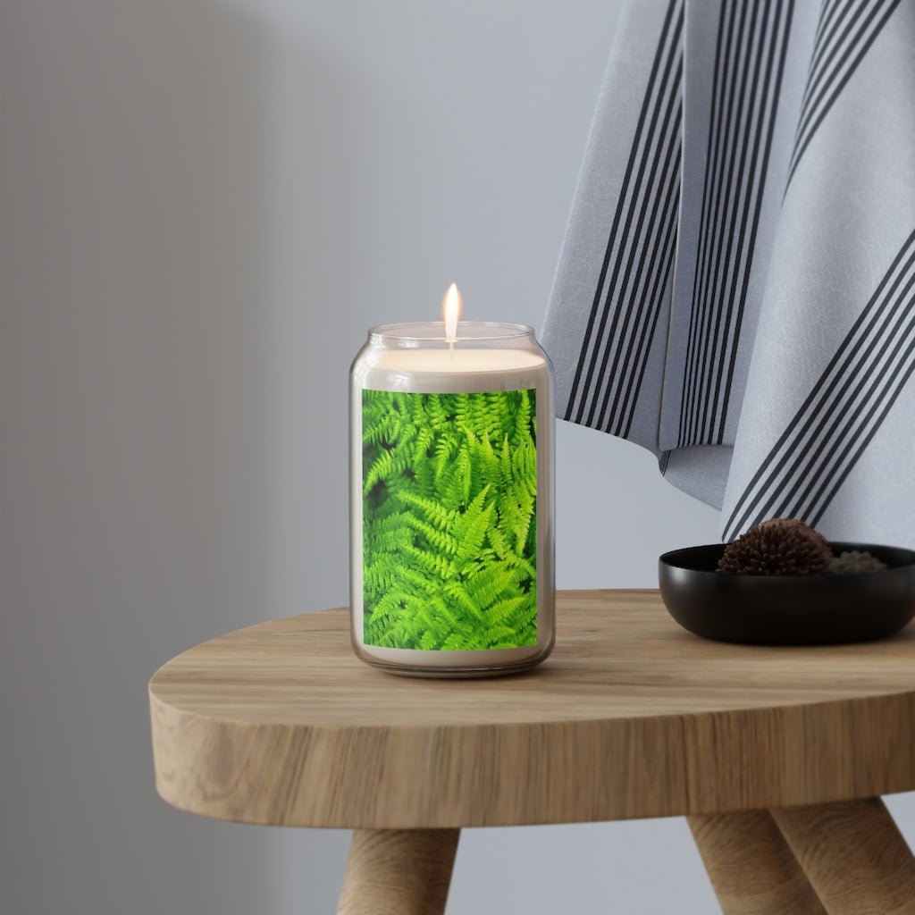 Ferns, Ferns, Ferns - Scented Candle, 13.75oz - Visiting This World