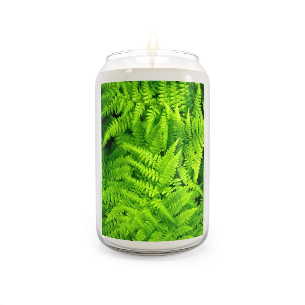 Ferns, Ferns, Ferns - Scented Candle, 13.75oz - Visiting This World