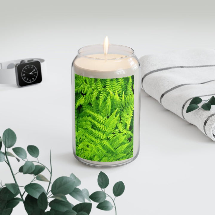 Ferns, Ferns, Ferns - Scented Candle, 13.75oz - Visiting This World