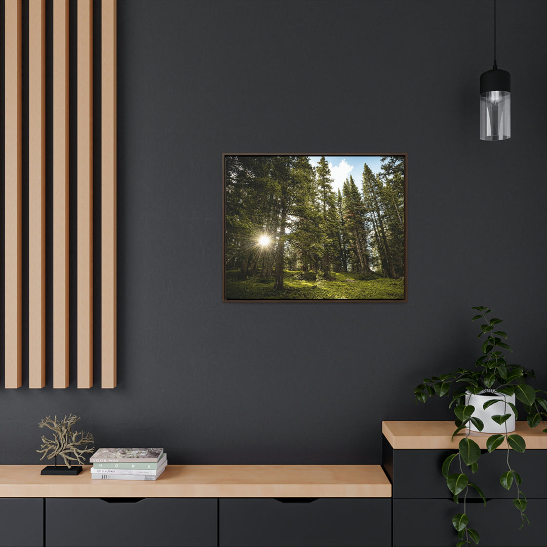 Forest Light - Canvas with Frame