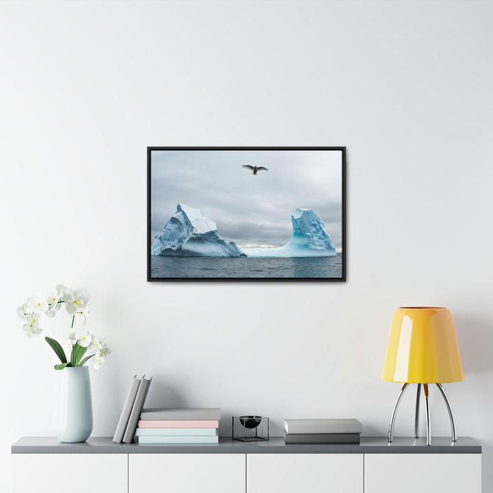 Antarctic Flight - Canvas with Frame