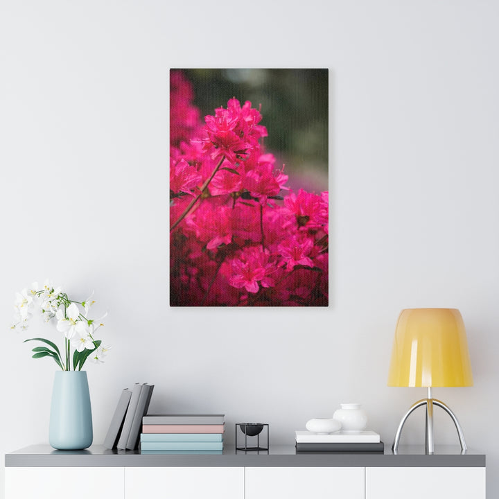 Full Bloom - Canvas