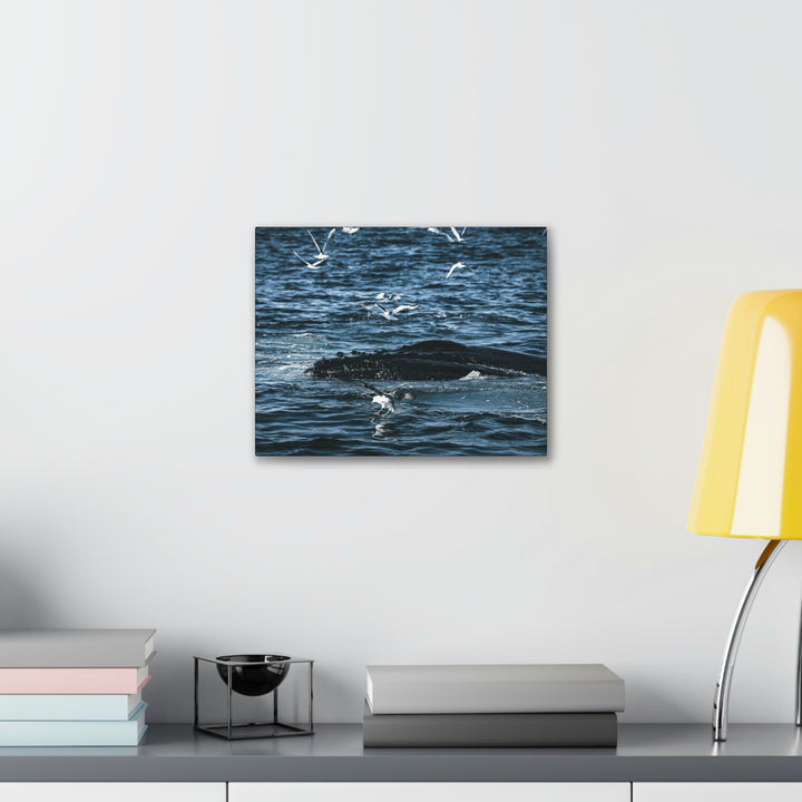 Humpback Hello - Canvas