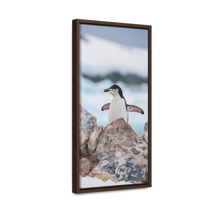 Stretched Penguin - Canvas with Frame