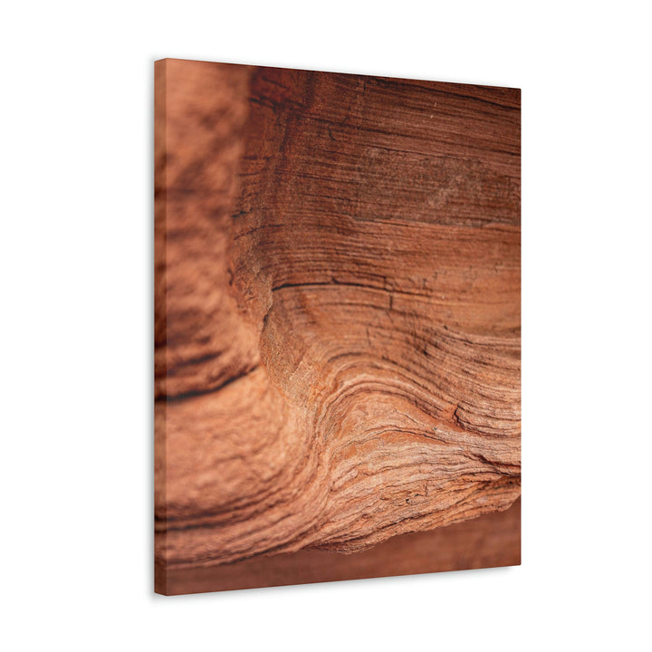 Sedimentary Rock Curves - Canvas