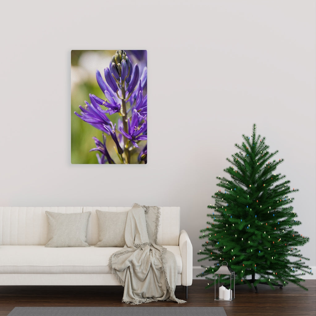 Camas in Bloom - Canvas