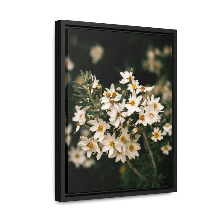 A Touch of White - Canvas with Frame