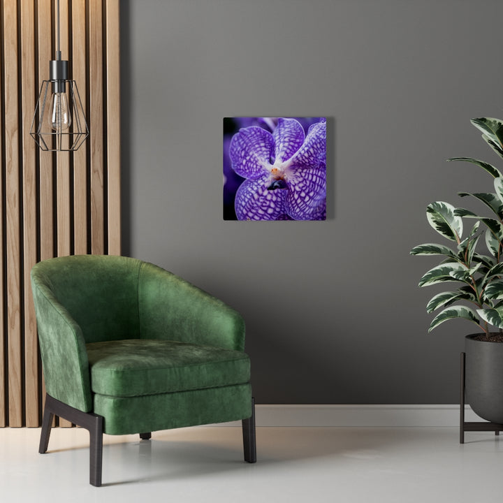 Orchid Detail - Canvas