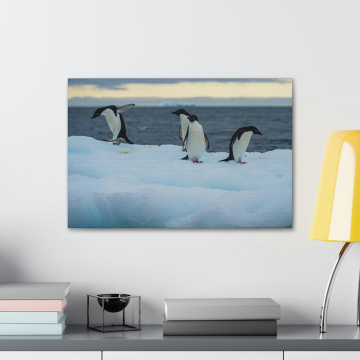 Penguin Dance - Canvas