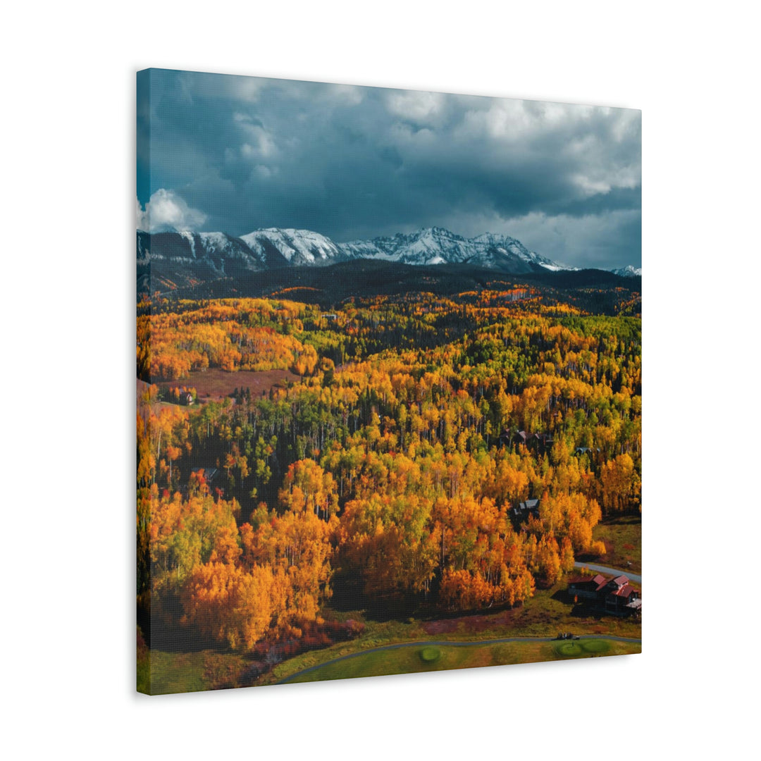 Golds of Autumn - Canvas