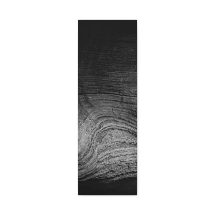 Sedimentary Rock Curves in Black and White - Canvas