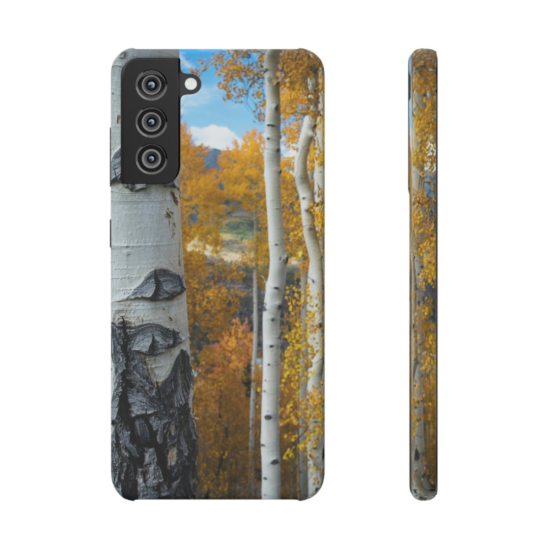 Aspens Changing - Phone Case