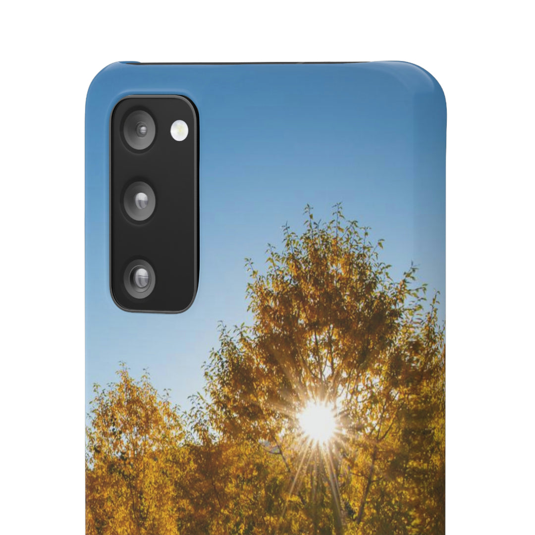 Sun Through the Aspens - Phone Case