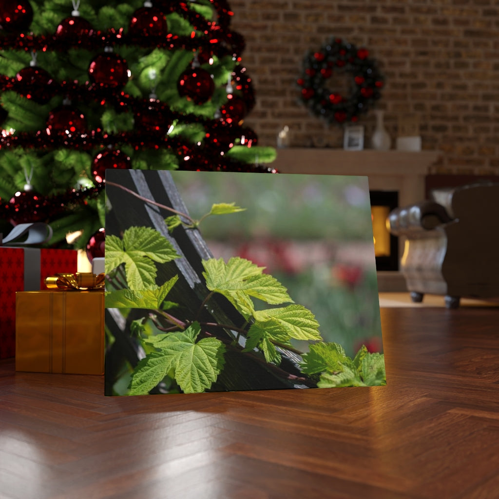 Ivy-Covered Fence - Canvas