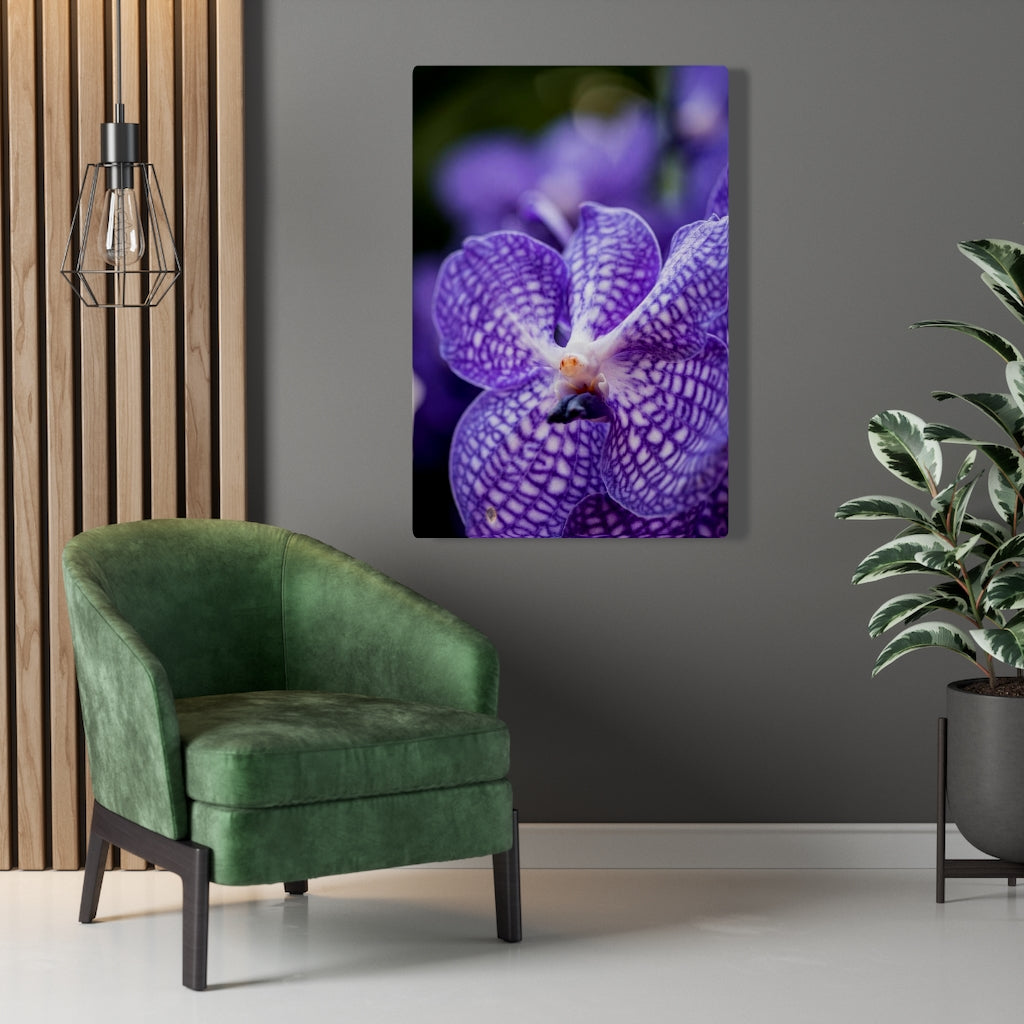 Orchid Detail - Canvas