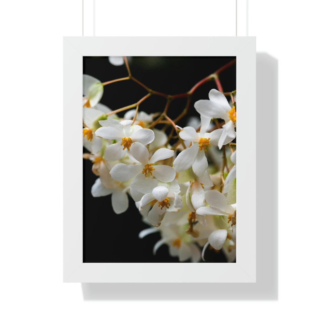 Floral Network - Framed Print - Visiting This World