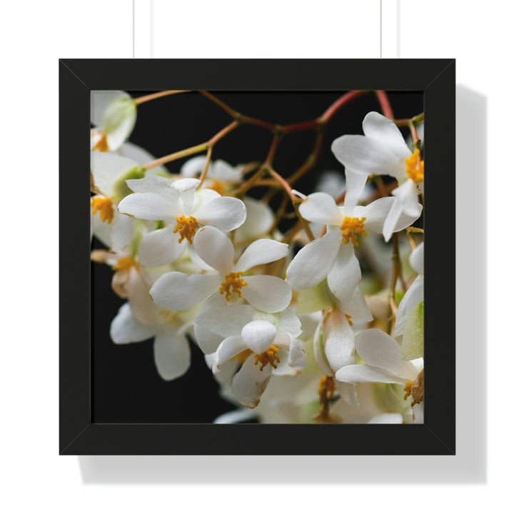 Floral Network - Framed Print - Visiting This World