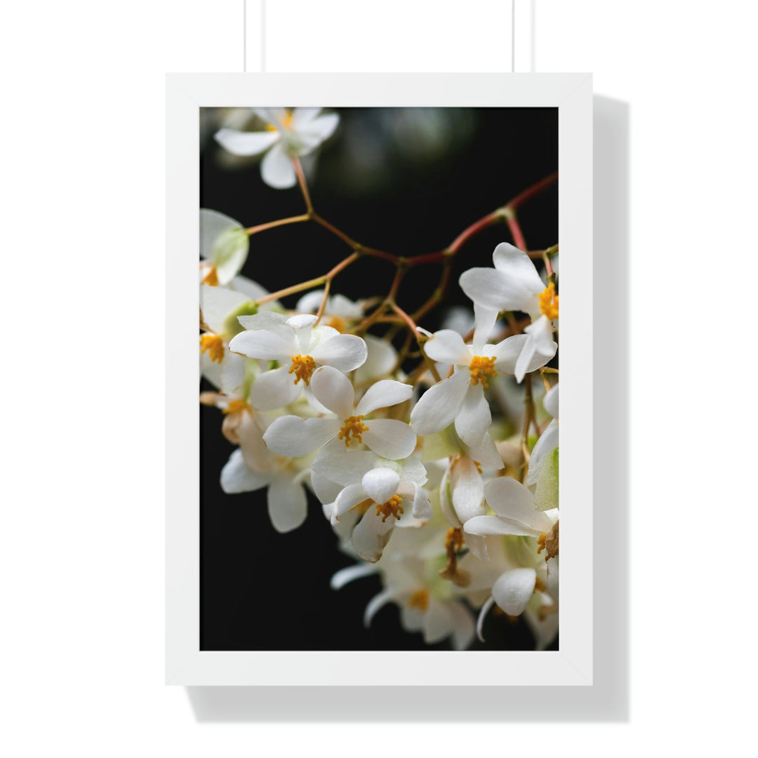 Floral Network - Framed Print - Visiting This World