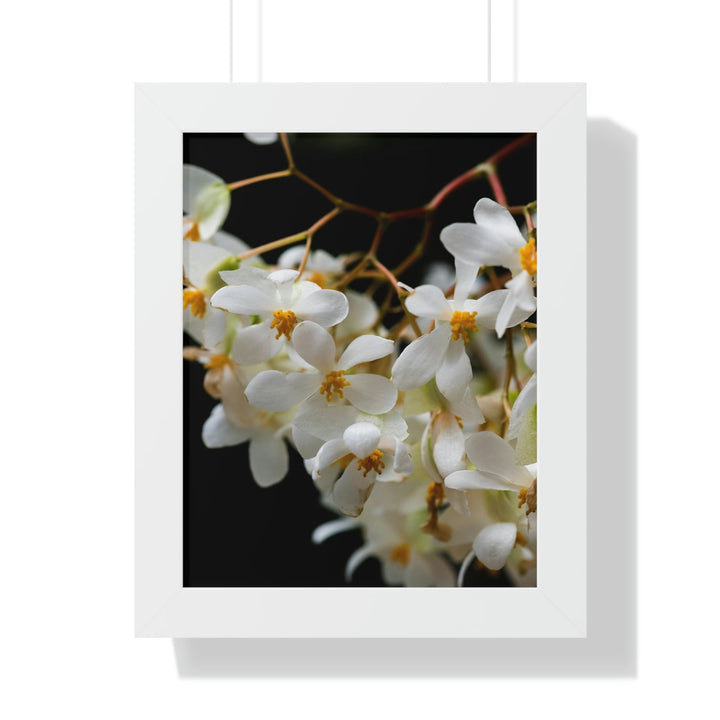 Floral Network - Framed Print - Visiting This World