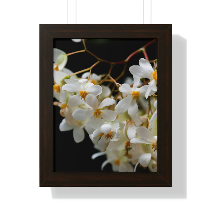 Floral Network - Framed Print - Visiting This World