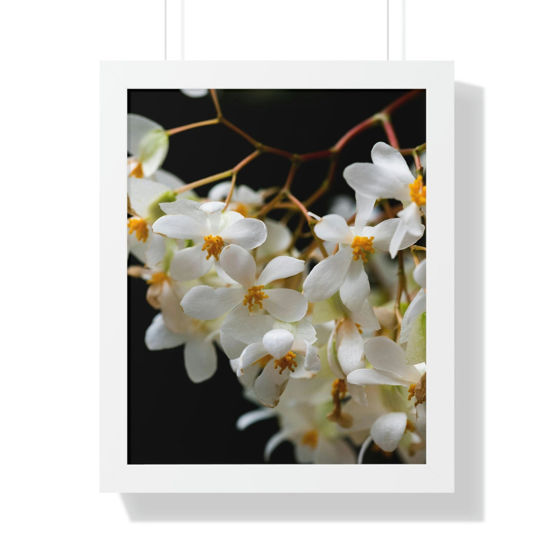 Floral Network - Framed Print - Visiting This World