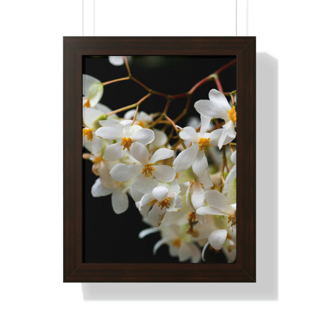 Floral Network - Framed Print - Visiting This World