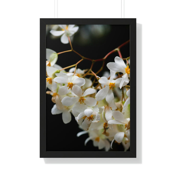 Floral Network - Framed Print - Visiting This World