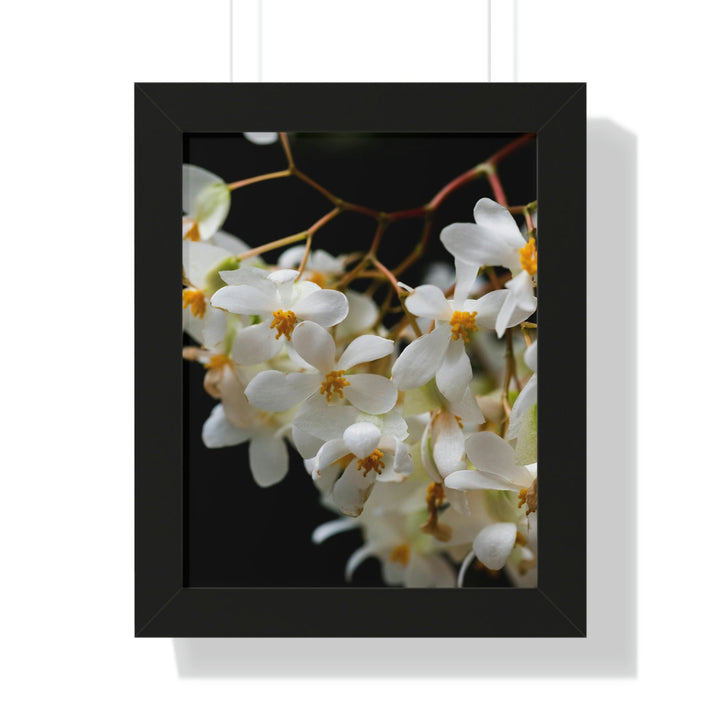 Floral Network - Framed Print - Visiting This World