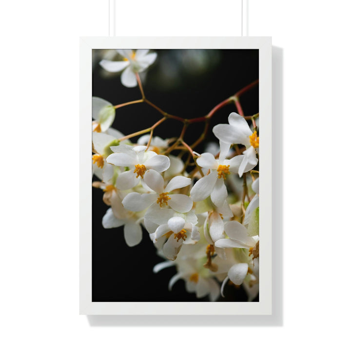 Floral Network - Framed Print - Visiting This World