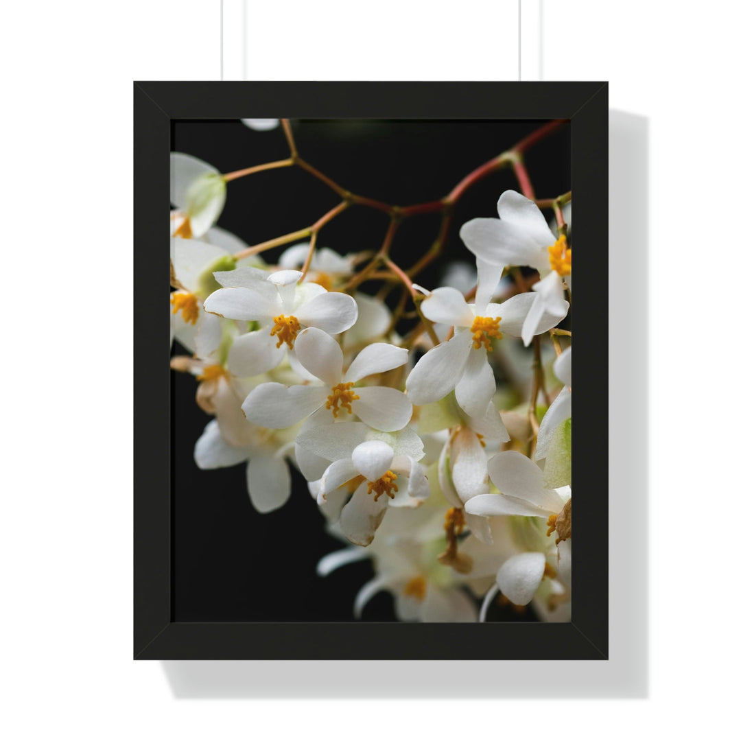 Floral Network - Framed Print - Visiting This World