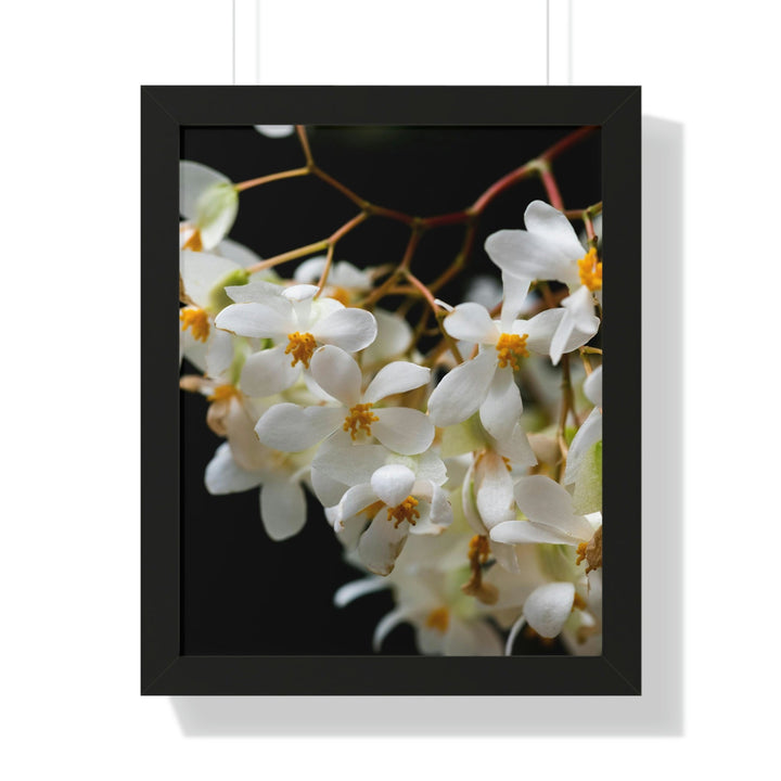 Floral Network - Framed Print - Visiting This World