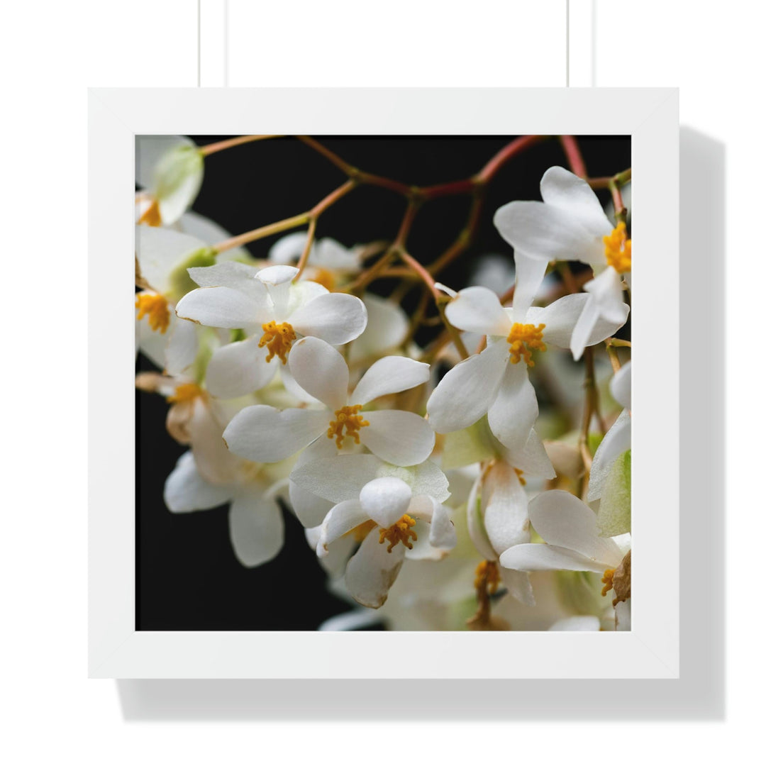 Floral Network - Framed Print - Visiting This World