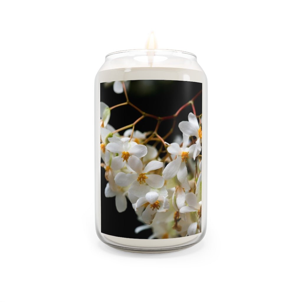 Floral Network - Scented Candle, 13.75oz - Visiting This World