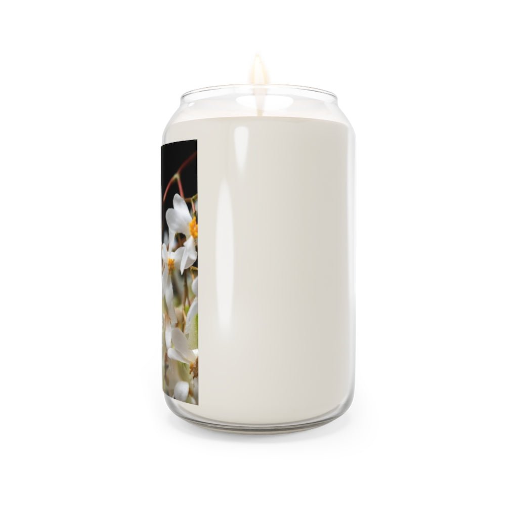 Floral Network - Scented Candle, 13.75oz - Visiting This World