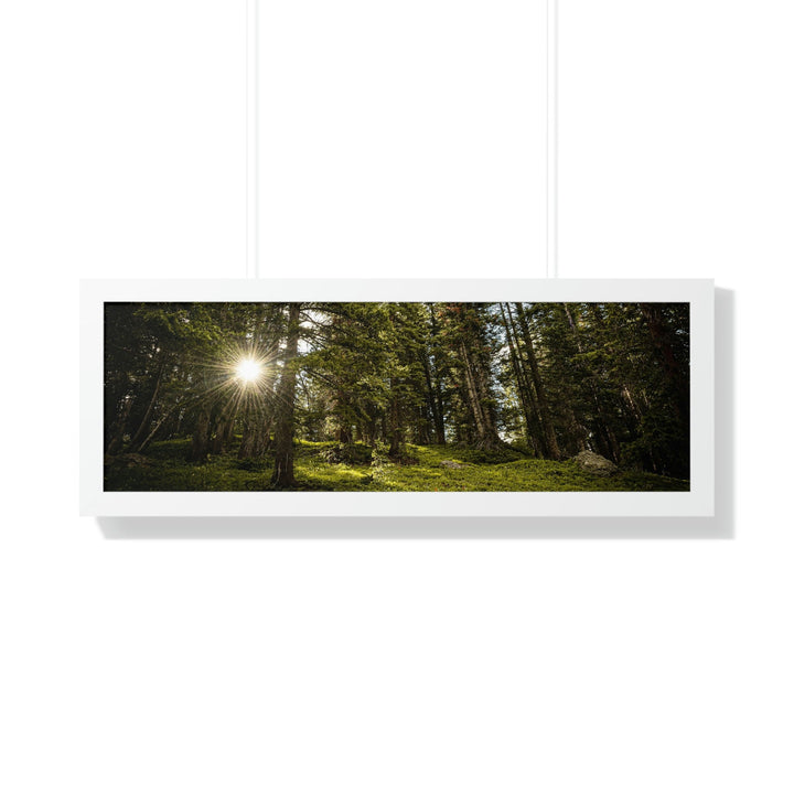 Forest Light - Framed Print - Visiting This World