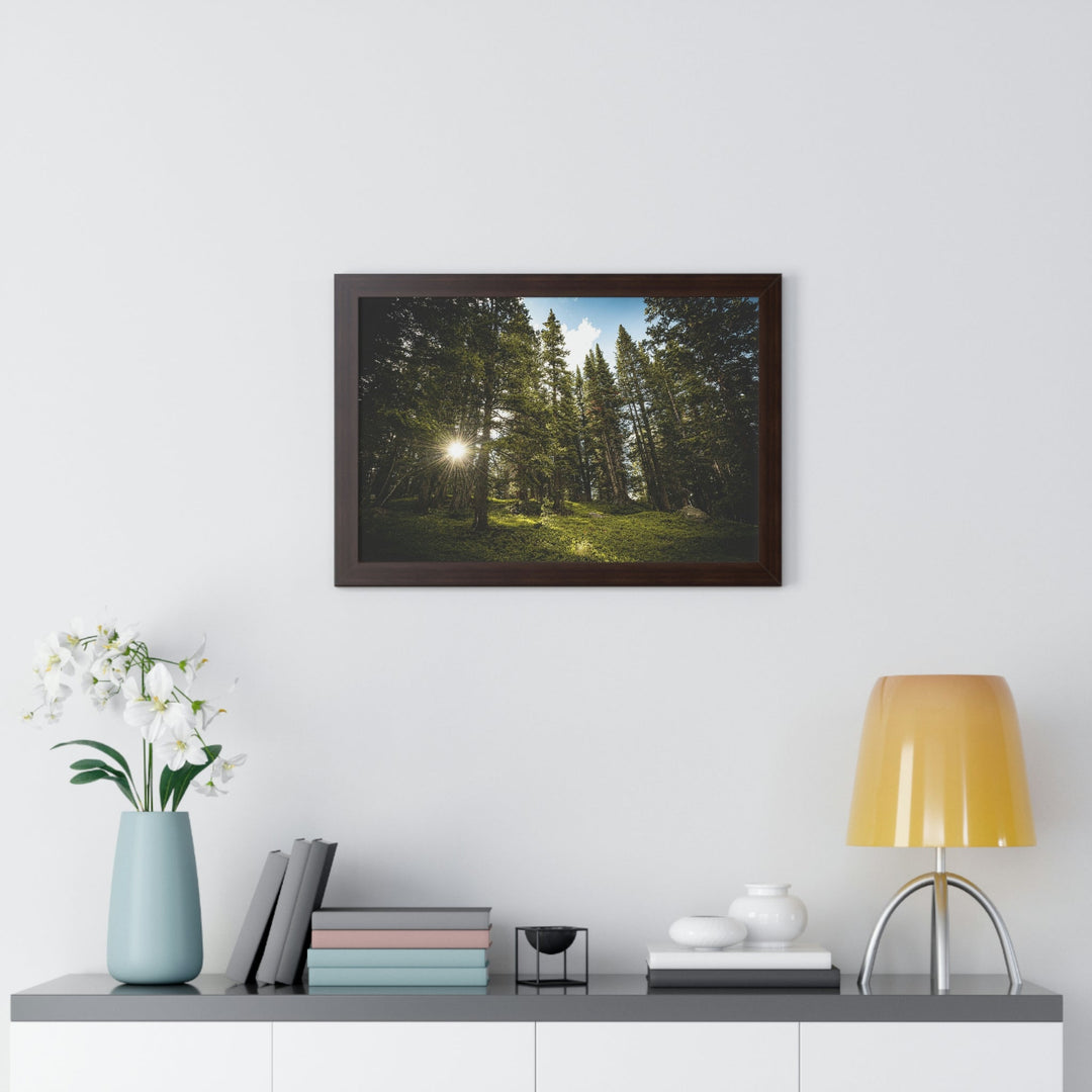 Forest Light - Framed Print - Visiting This World