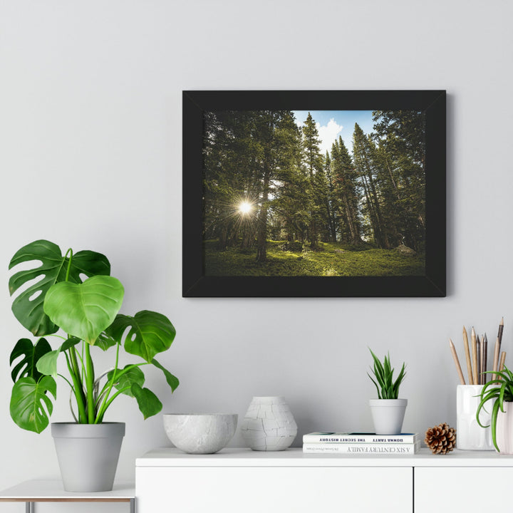 Forest Light - Framed Print - Visiting This World