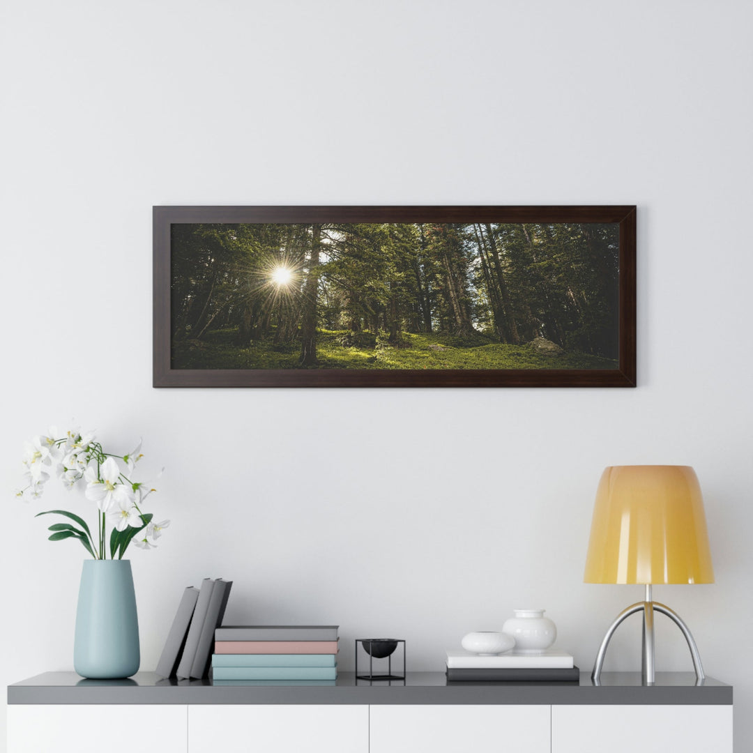 Forest Light - Framed Print - Visiting This World