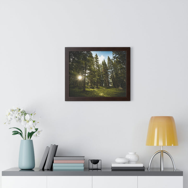 Forest Light - Framed Print - Visiting This World