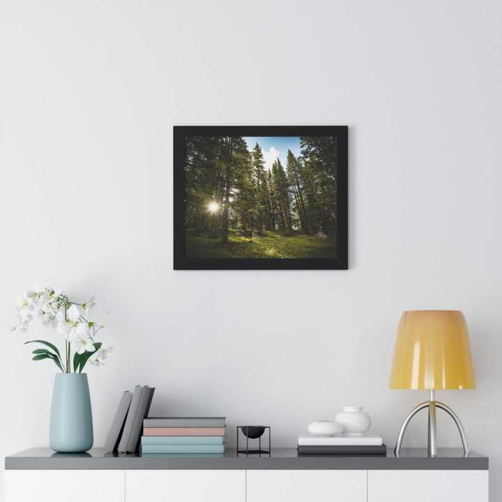 Forest Light - Framed Print - Visiting This World