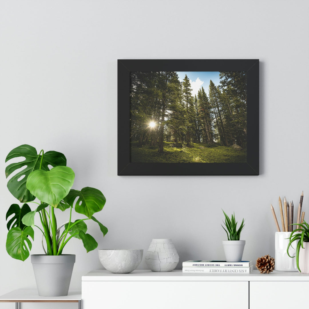 Forest Light - Framed Print - Visiting This World