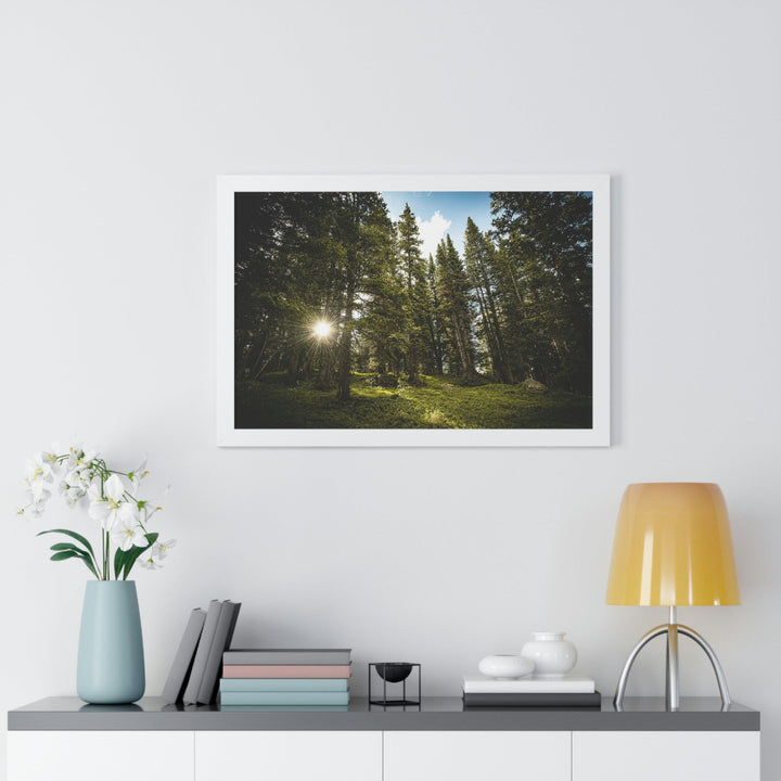 Forest Light - Framed Print - Visiting This World