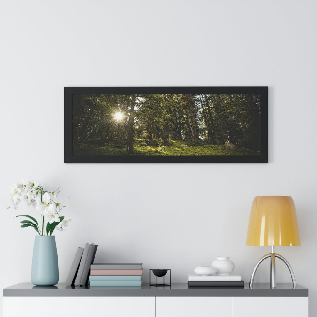 Forest Light - Framed Print - Visiting This World