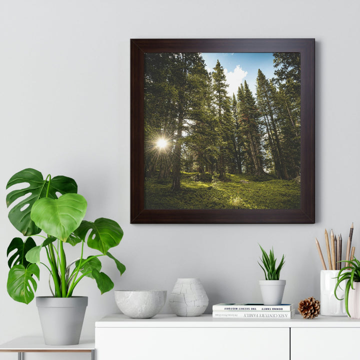 Forest Light - Framed Print - Visiting This World