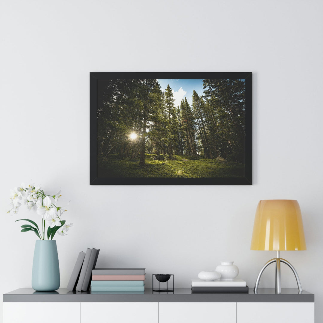 Forest Light - Framed Print - Visiting This World